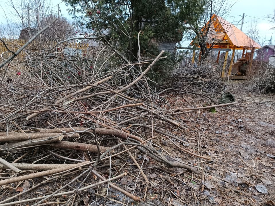 5 ����� ��������� �� ��������� �������: ����� ��� �����?