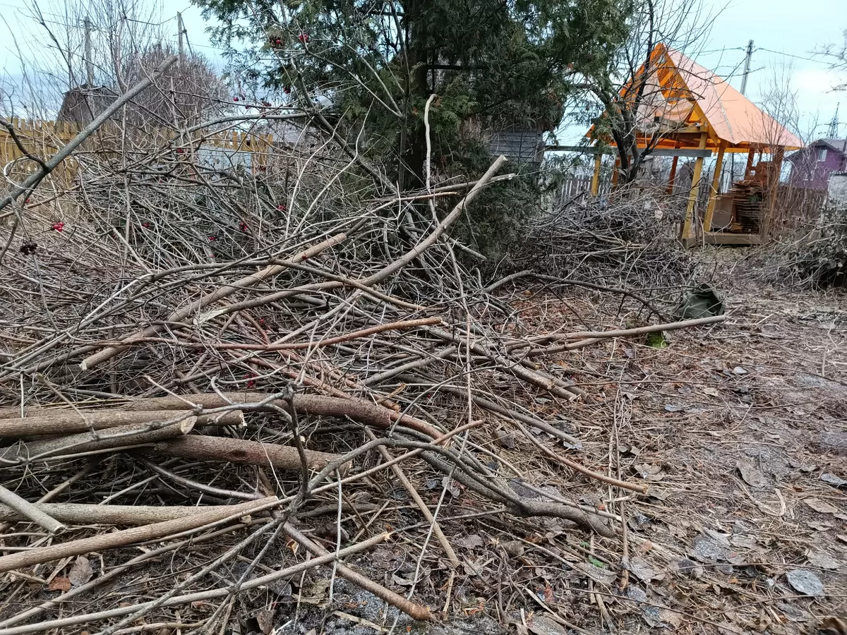 5 кубов древесины на маленьком участке: благо или бремя?