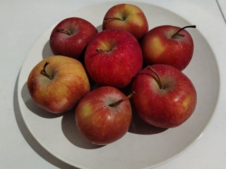 ����� ������������: ��� ��������� ������������ ��� ��������