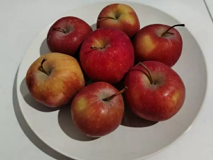 Новые рекомендации: как правильно перекусывать для здоровья