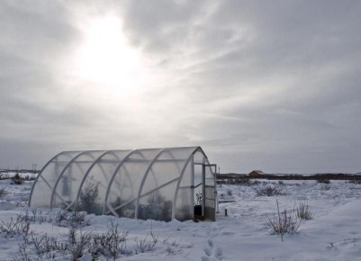 Подготовка растений к зиме: влагозарядный полив как залог успешной зимовки