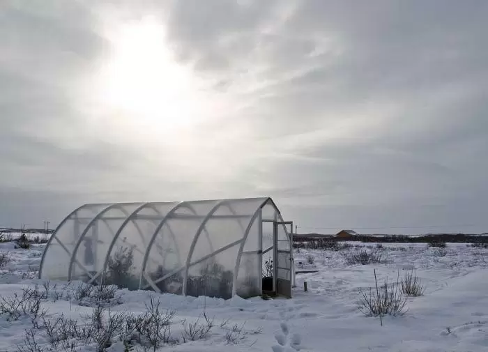 Подготовка растений к зиме: влагозарядный полив как залог успешной зимовки
