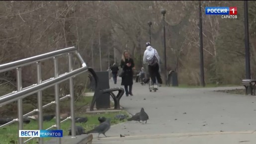 Вместе с весной вернулся сезон электросамокатов