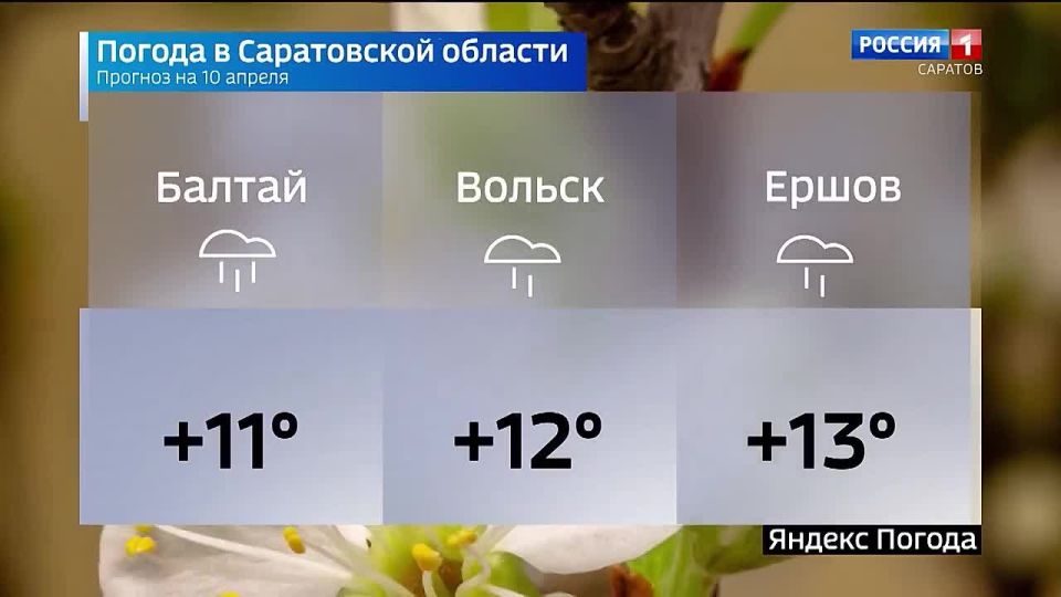 ������� ������ �� 10 ������