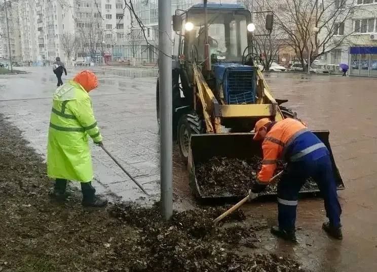 ������������ ������ �� ���������������