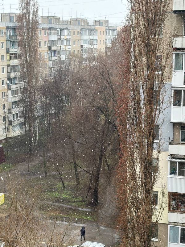 �������, ������ �����, ��� �� �����