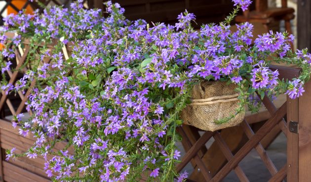 �������: ����� ������� ��������� � ��������� ������������ �������