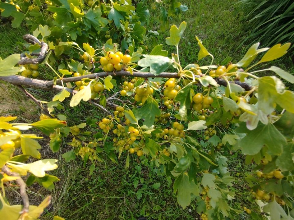 �����: ���������� ����� ��� ������ ���� � ��� � �� ������ � �����