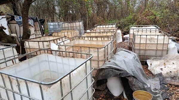 � ��������� ������ ��������� ����������� � �������� ������� ������������ ��������