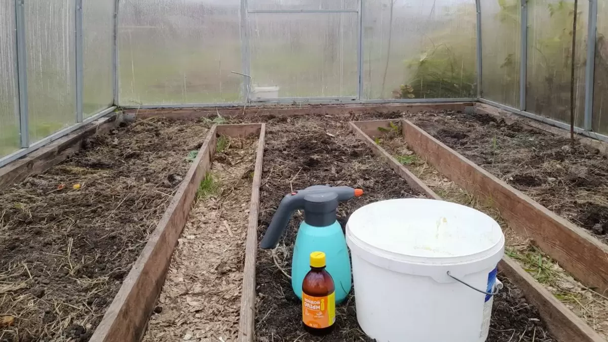 Пять шагов к здоровой теплице: как подготовить её к новому сезону