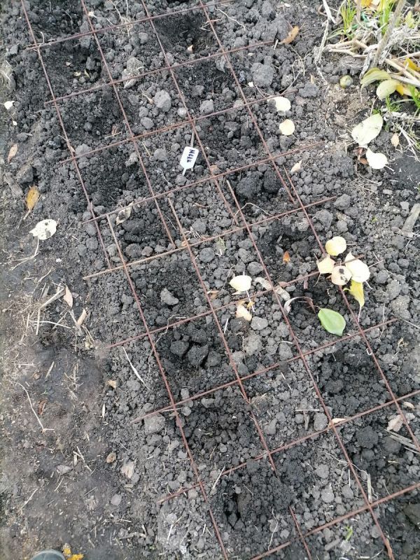 ����� ������� � ������� ������� �������: �������� � ������ �� ������� ���������