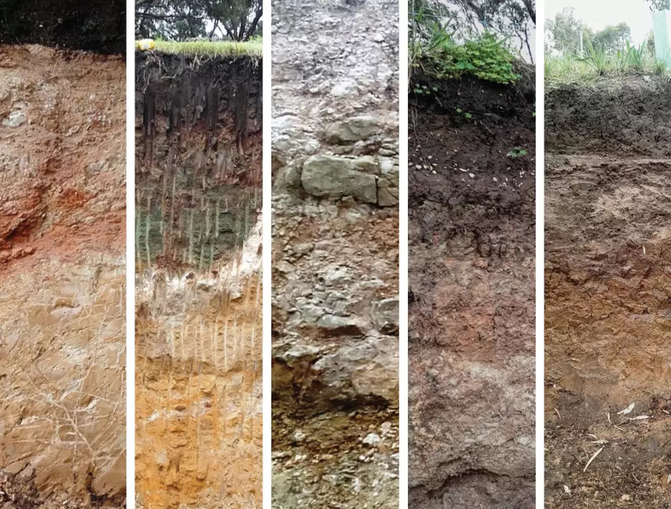 Как породы влияют на характер вина: осадочные, магматические и метаморфические