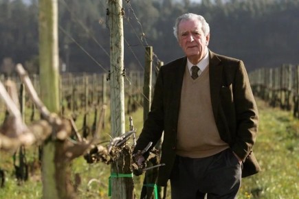 Фернанду ван Зеллер Гедеш и Mateus Ros?: как вино стало визитной карточкой Португалии