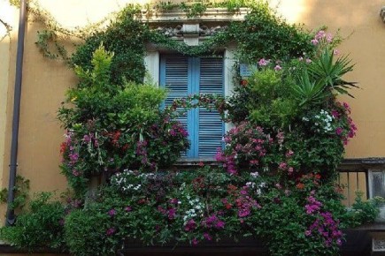 Как цветы на балконе могут преобразить ваш дом