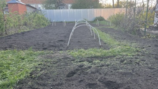 ������ �������� � �������� �� ������ ������: ������ ������� �����������