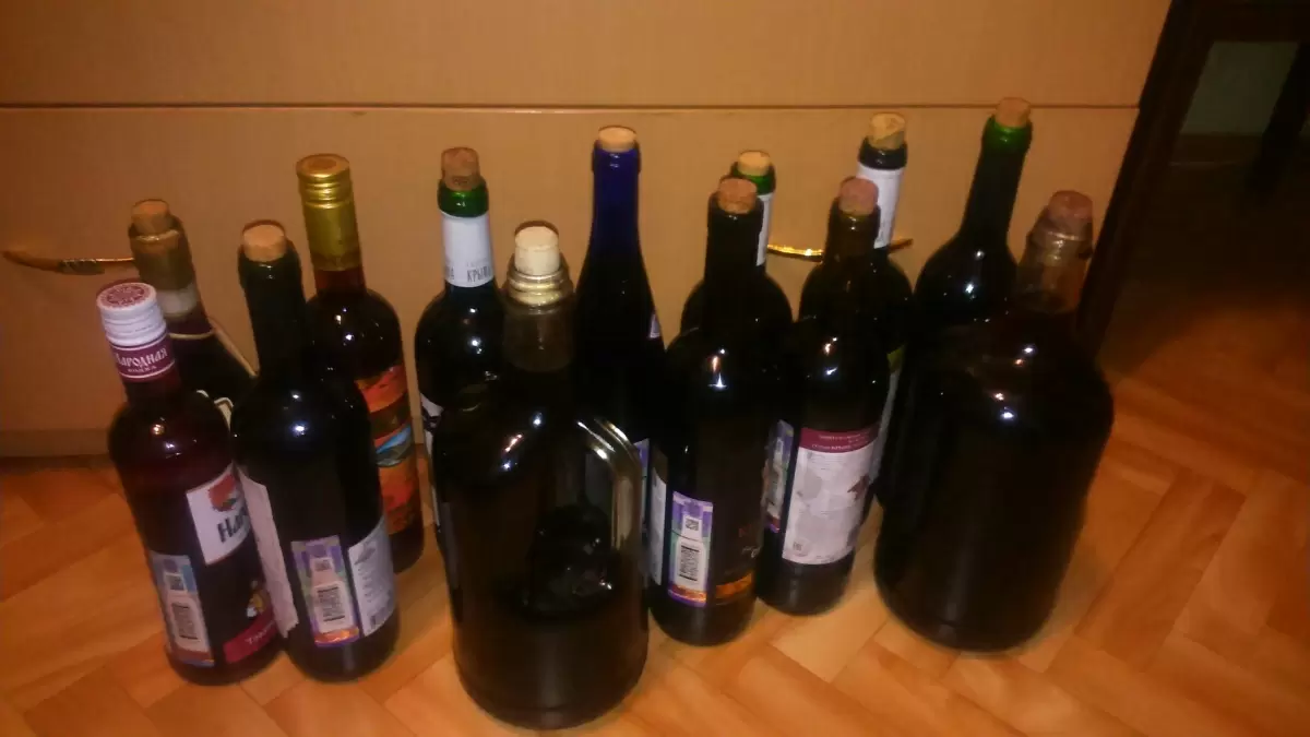 Собираем урожай вишни войлочной для домашнего вина