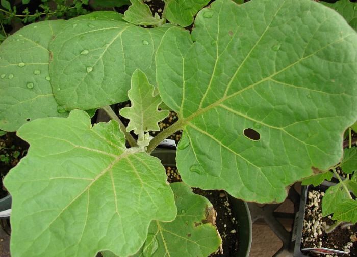 ������ ��������� ������������? ������� ������� � �������!