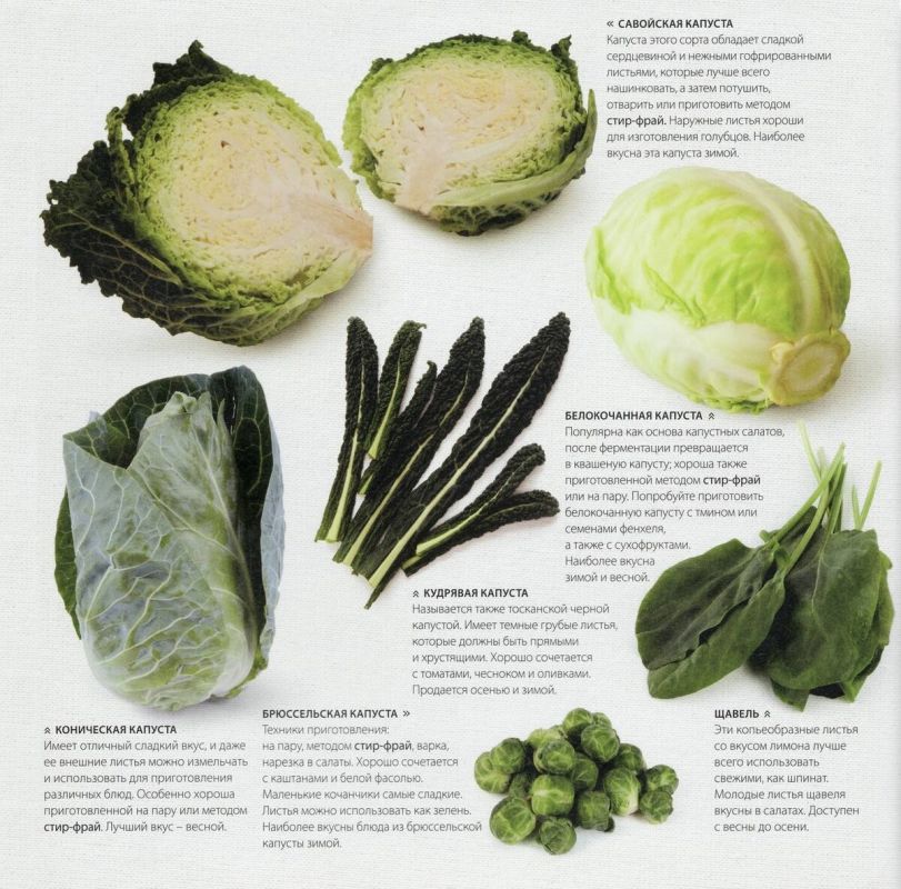 �������� ������� � ������: ��� ������� � ������������