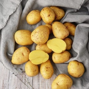 Открываем для себя картофель Ника: сорт, который завоевывает сердца огородников