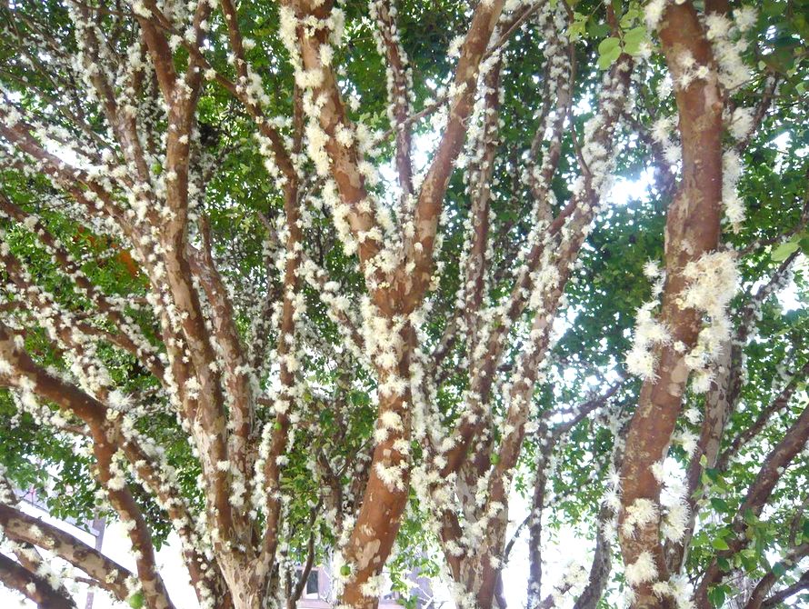 ����������: ���������� �����, ������� �������� � ���� � ������� �������