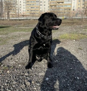 В воскресенье 12 апреля на территории Саратовской области ожидается пасмурная погода и небольшой дождь