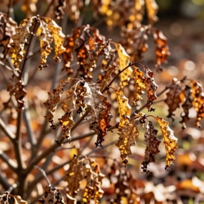 ��� ������ ��������� �������� �� ������ ���: ���� �� �������� �����