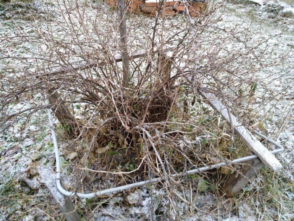 ����������� ���������� ��������� � ����: ������� ����� ��� �������� ������