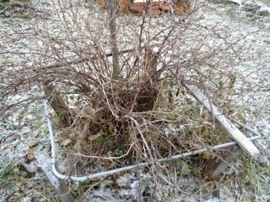 ����������� ���������� ��������� � ����: ������� ����� ��� �������� ������