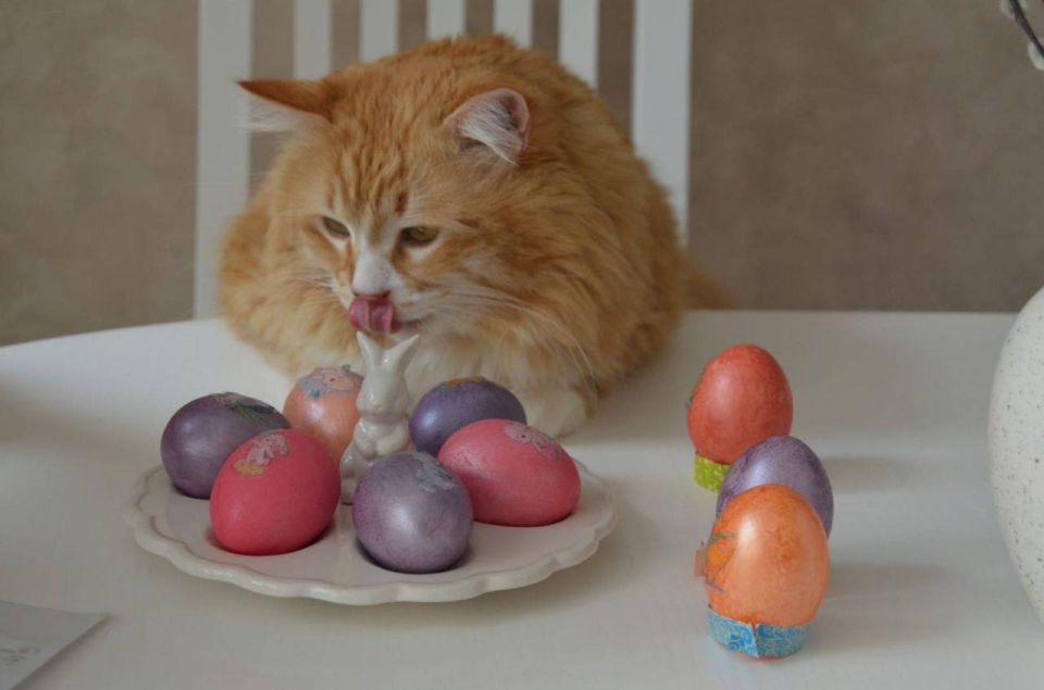 ���������� ������ ��-������