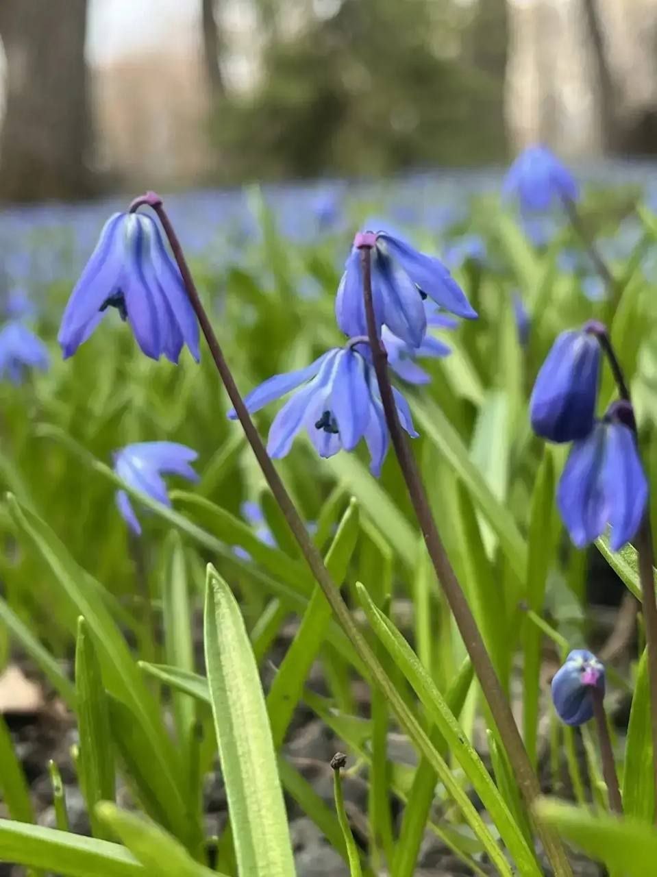 В понедельник 13 апреля в Саратове и области ожидается дождь В понедельник 13 апреля в Саратове и области ожидается дождь