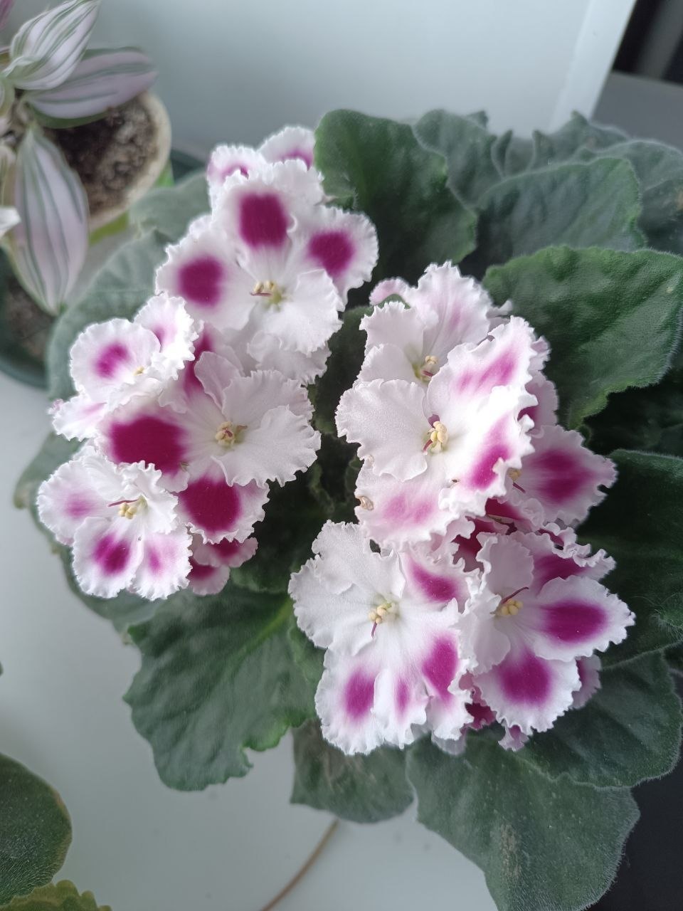 В понедельник 13 апреля в Саратове и области ожидается дождь В понедельник 13 апреля в Саратове и области ожидается дождь