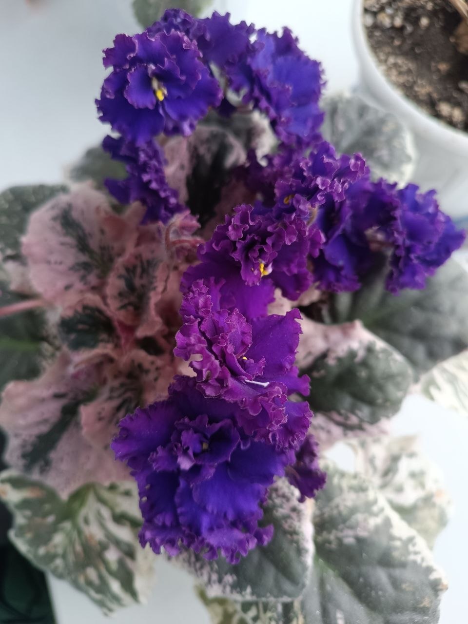 В понедельник 13 апреля в Саратове и области ожидается дождь В понедельник 13 апреля в Саратове и области ожидается дождь