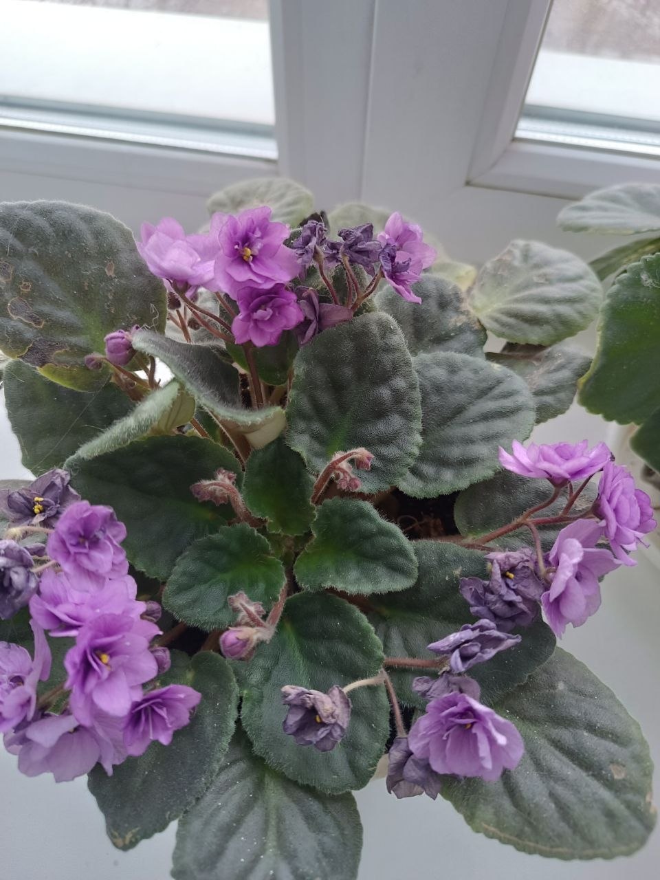 В понедельник 13 апреля в Саратове и области ожидается дождь В понедельник 13 апреля в Саратове и области ожидается дождь