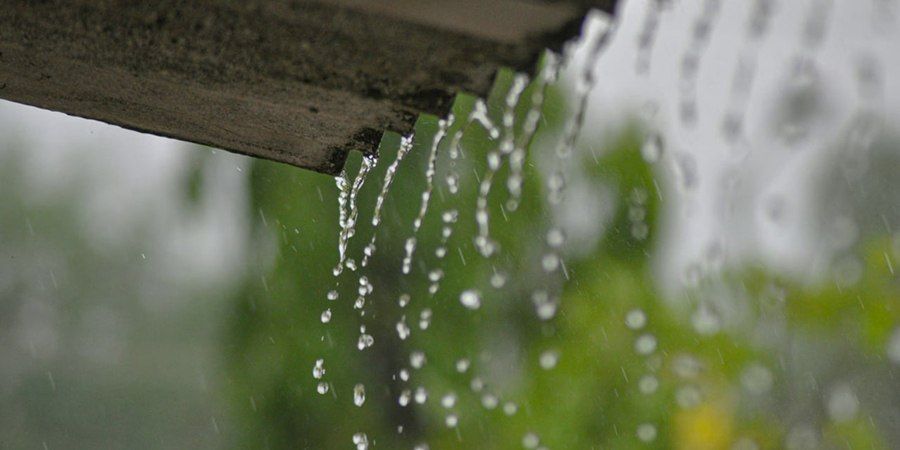 � ����������� ������� ����������� ���� ������� � ������� � �������