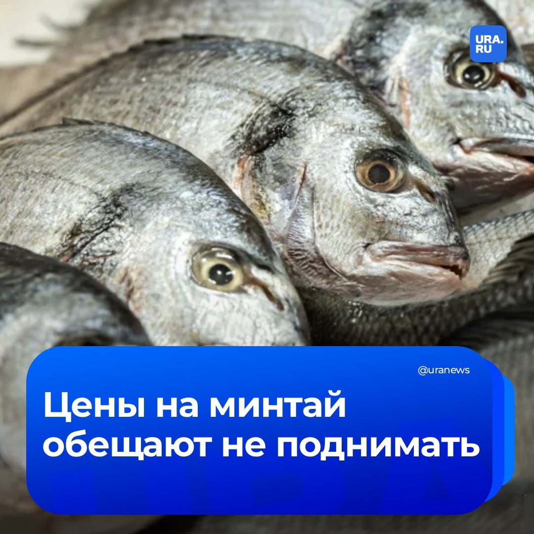 Когда самая популярная рыба перестанет дорожать?