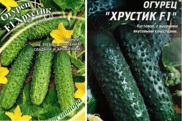 Огурцы Хрустик: секреты успеха и преимущества этого гибрида