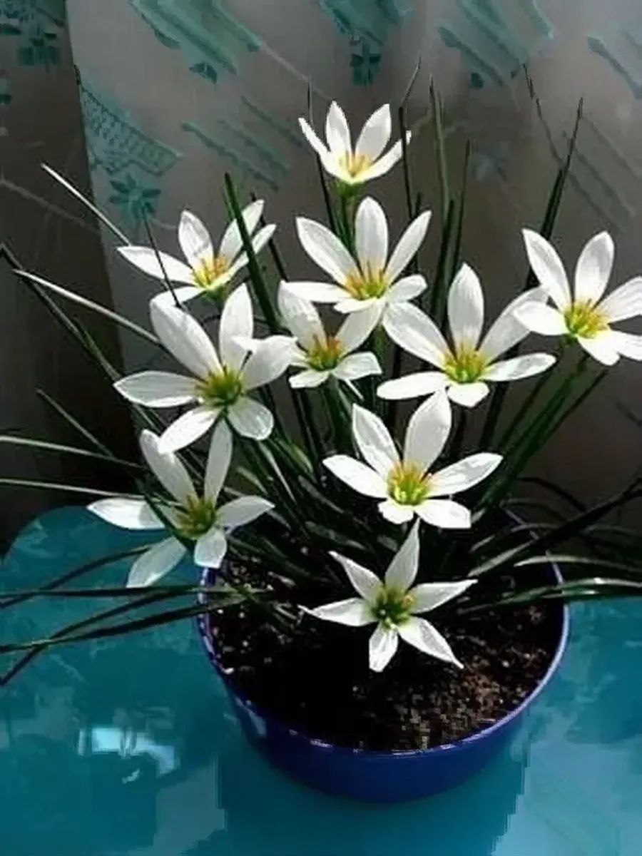 В понедельник 13 апреля в Саратове и области ожидается дождь