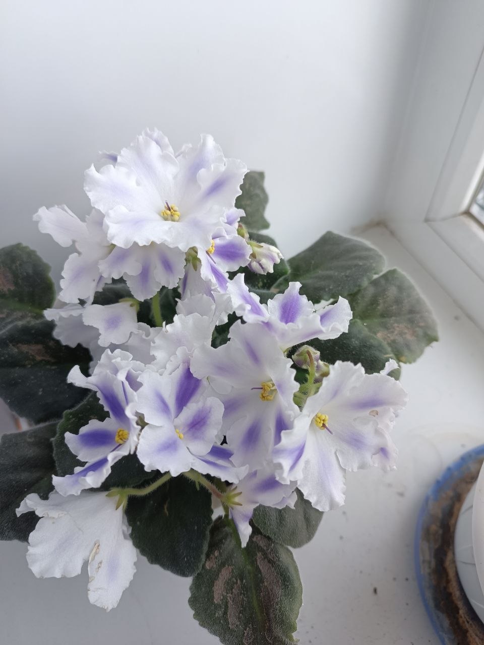 В понедельник 13 апреля в Саратове и области ожидается дождь В понедельник 13 апреля в Саратове и области ожидается дождь