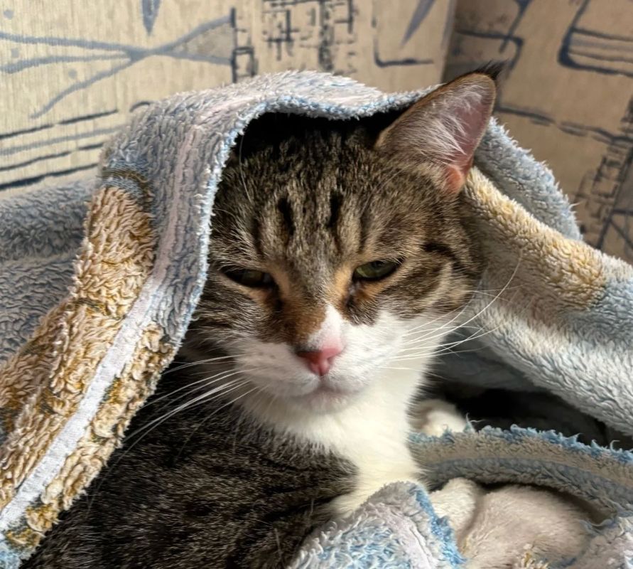 �� ������� 14 ������ � ����������� ������� ��������� ����� � �����