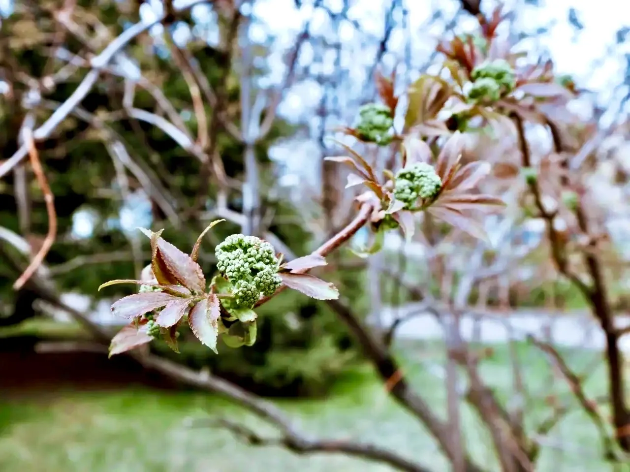 Отличное время насладиться весенними днями Отличное время насладиться весенними днями