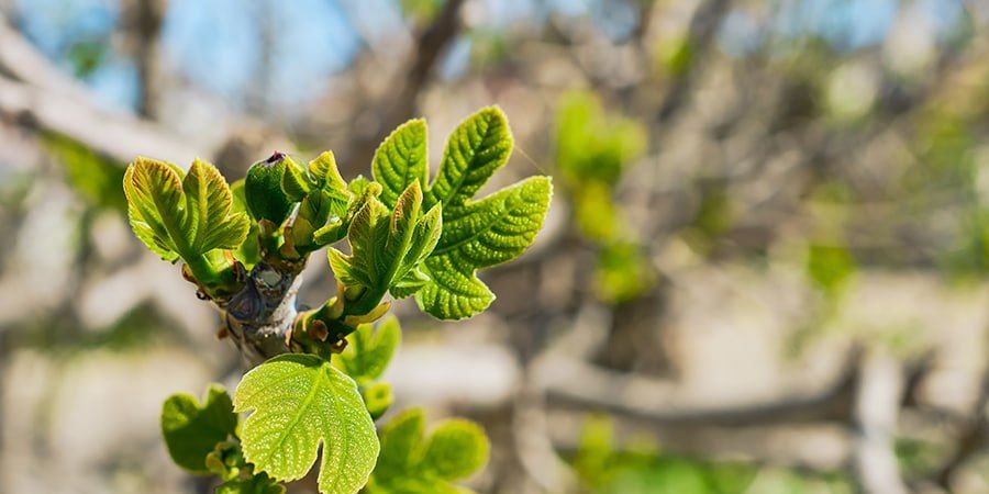 � ����������� ������� ������������ ����� � ������ ���������� �� +21 �������