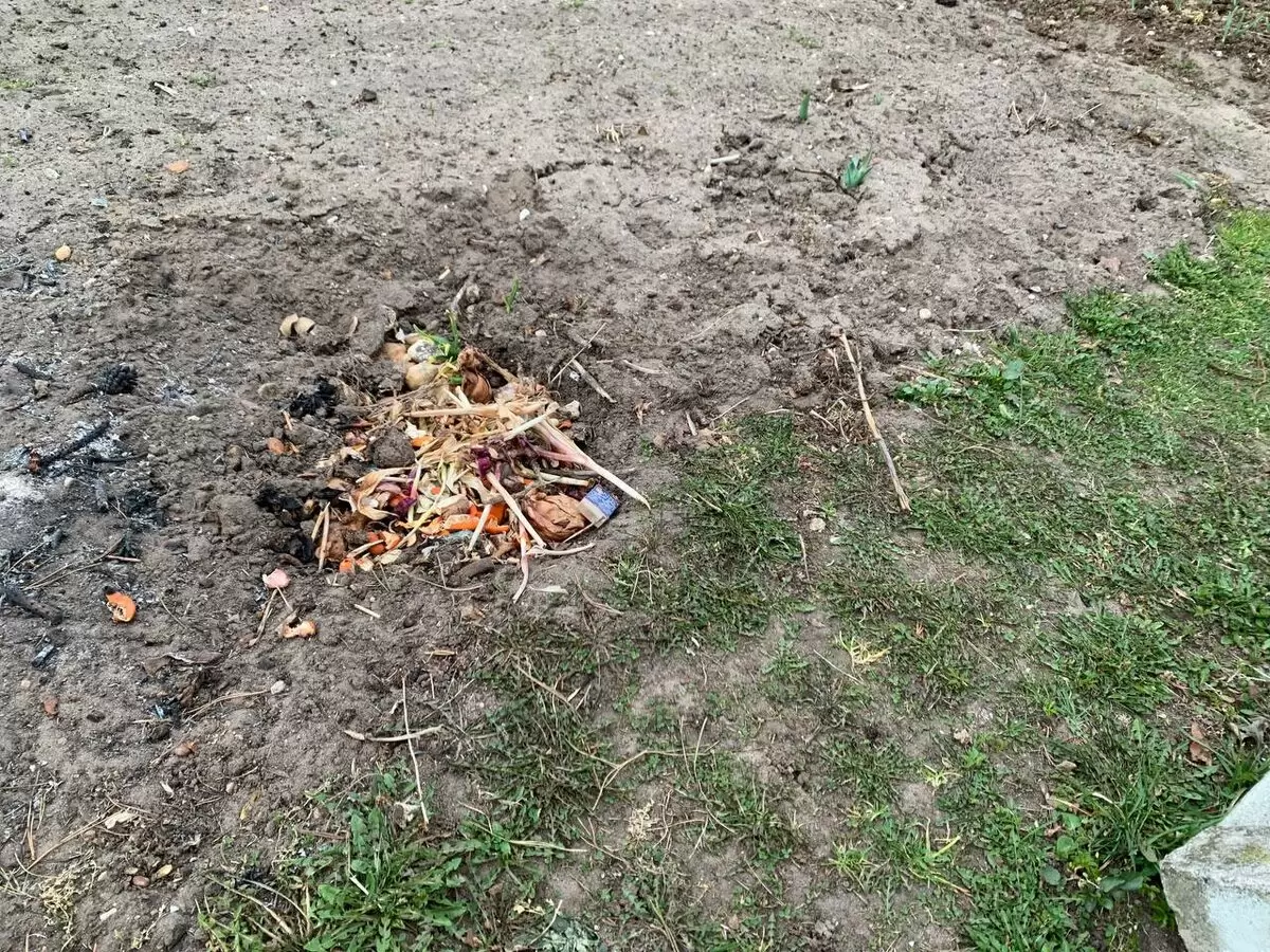 Метод «грядки-пустышки»: удобрение без лишней суеты