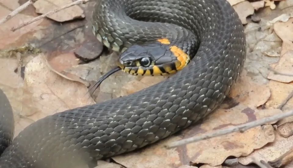 ����� ������ � ���� ��� ��������� ��������� �� ��������