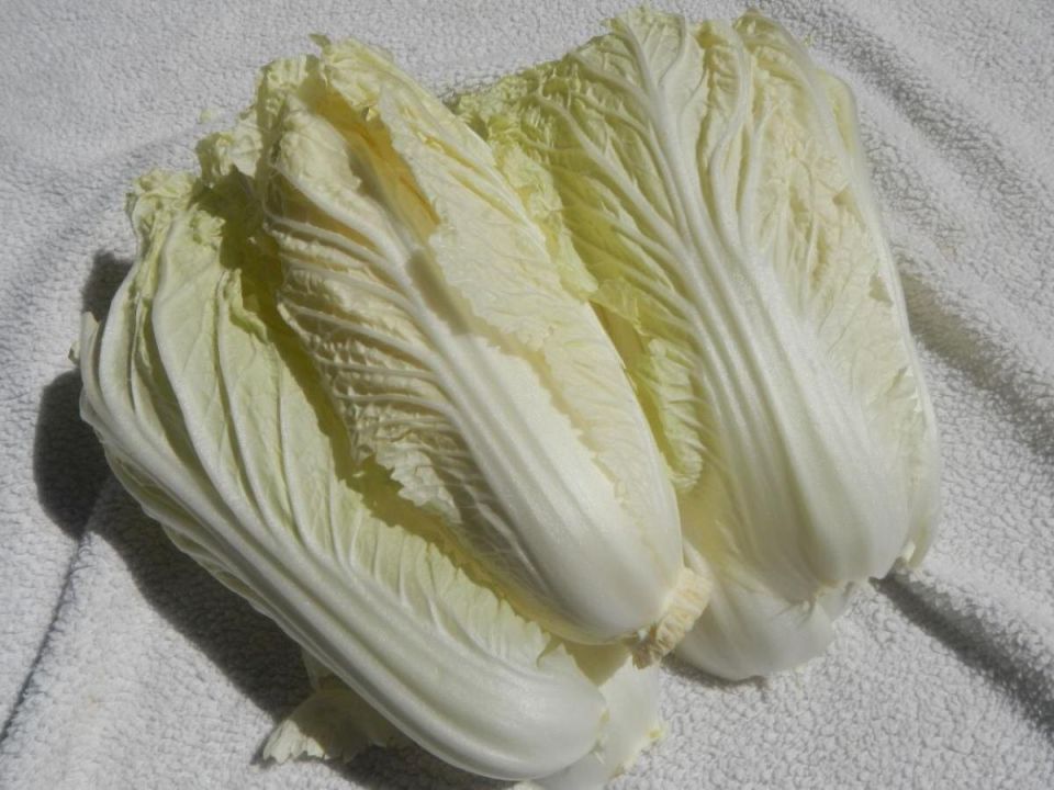 ������ ������ ����� ����� ��� ������� ��������� �������