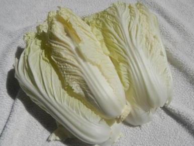 ������ ������ ����� ����� ��� ������� ��������� �������