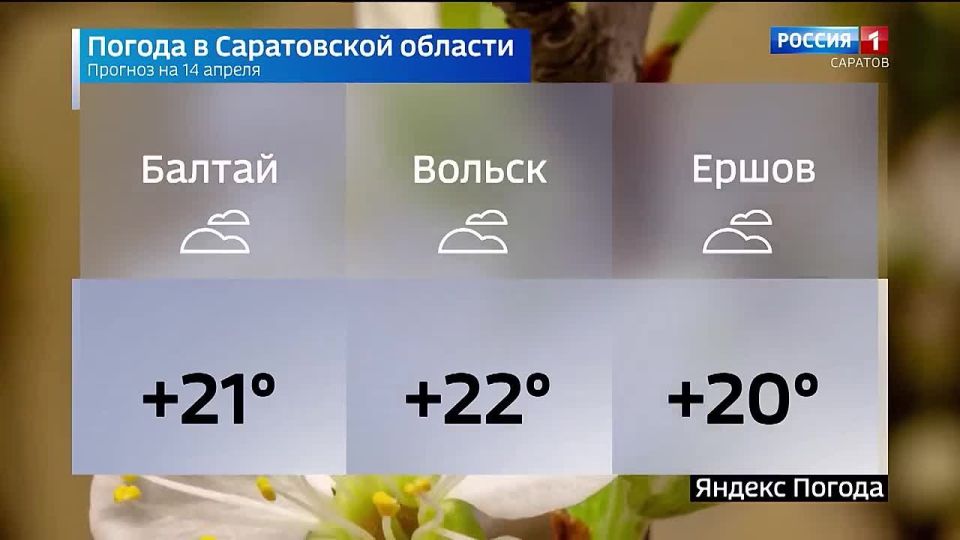 ������� ������ �� 14 ������