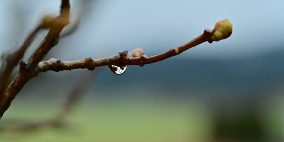 В Саратовской области день пройдет с кратковременным дождем и порывистым ветром