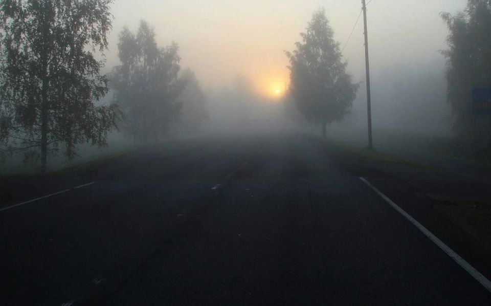 �� ������ �������������� 15.04.2026 �� ���������� ����������� ������� �������� ������, � ������������