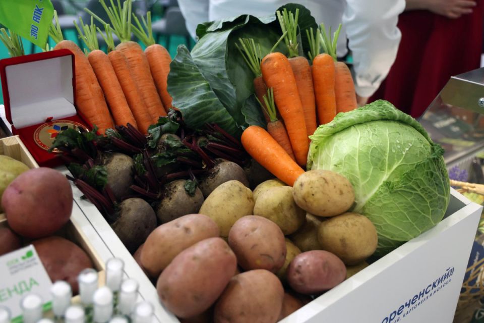 ����� ���� ��������� ��������� ������ ������ � ���������