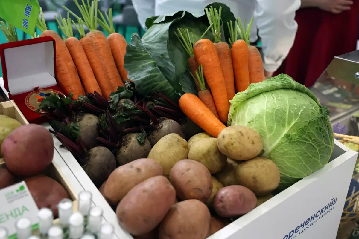 Южный Урал празднует рекордный урожай овощей и картофеля